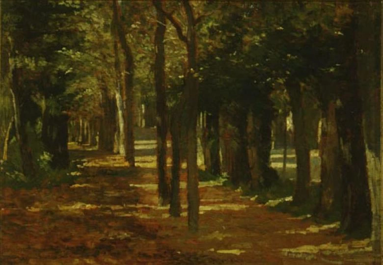 Viale alle Cascine - Pinacoteca di Bari Corrado Giaquinto, Bari